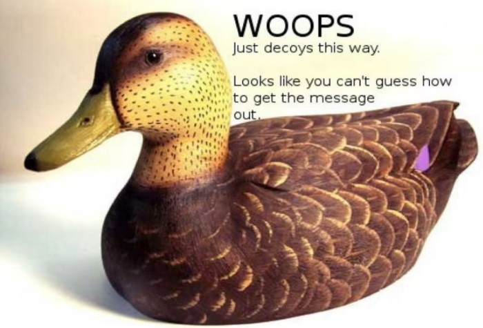 cicada 3301 solved yet?