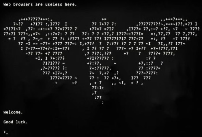 cicada 3301 mystery fake