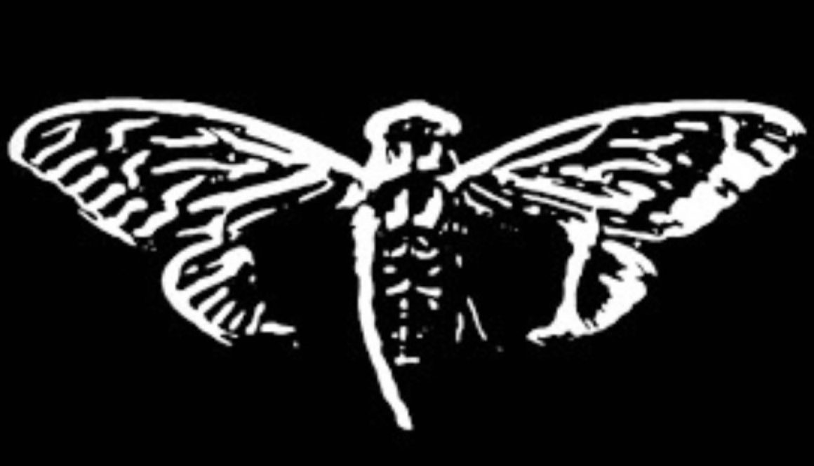 cicada 3301 logo