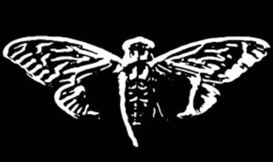 cicada 3301 logo